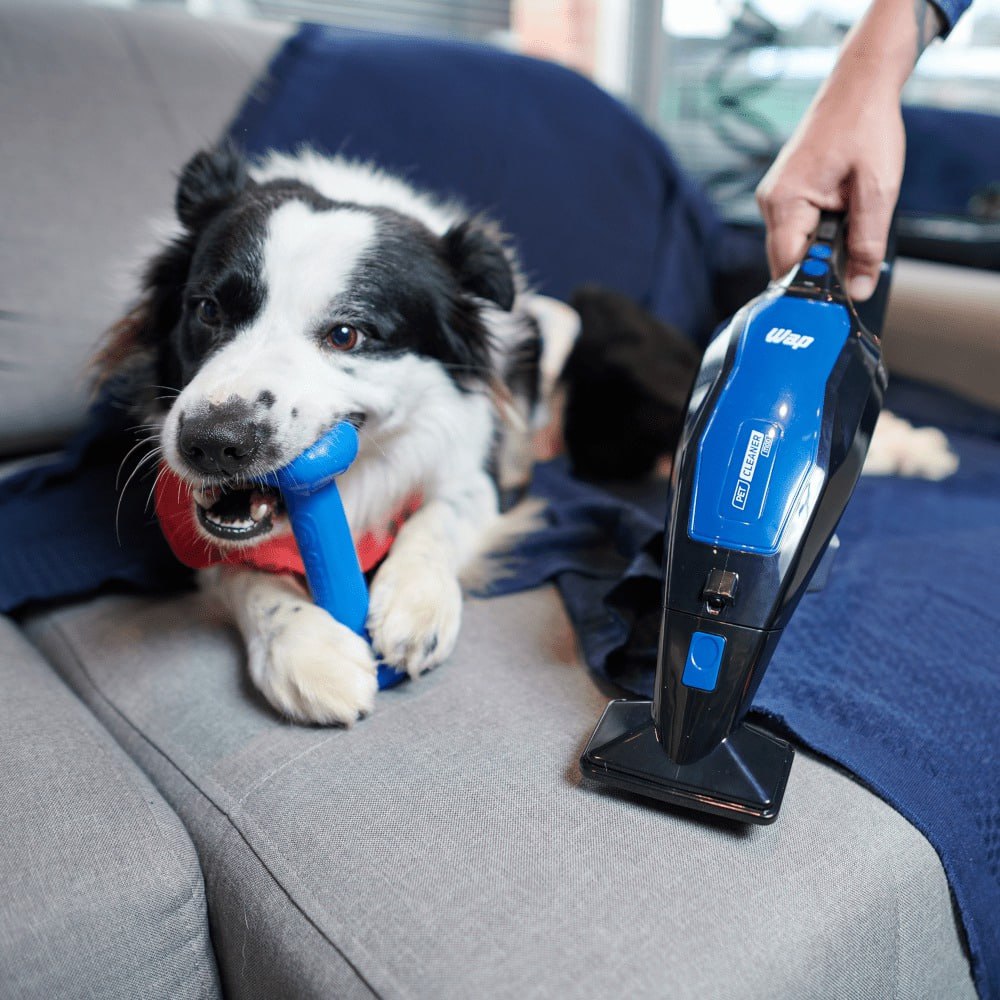 photo_2023-07-10_10-13-39